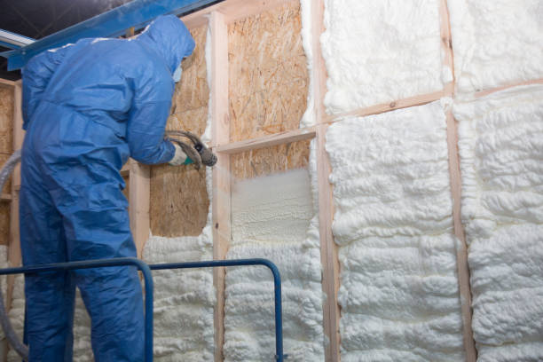 Best Thermal Imaging for Insulation Gaps  in Pipestone, MN